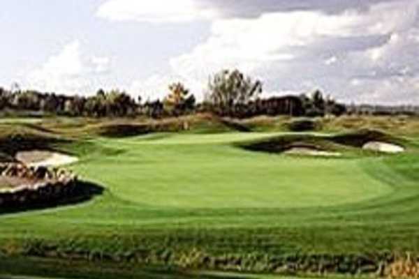 Heathland No. 5