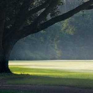 Copperdale GC