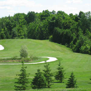 Timber Run GCC