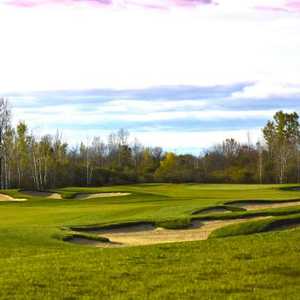 eQuinelle GC: #4