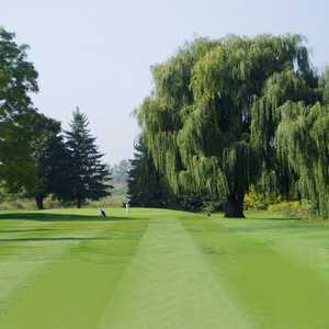 markham golf executive course