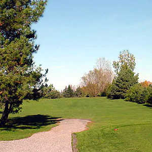 Twisted Pine at Madawaska: #1