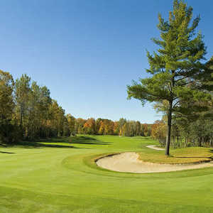 Hawk Ridge GCC - Meadow Nest