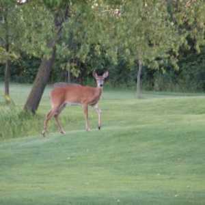 Heritage Woods GC