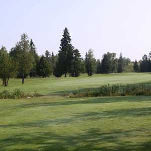 Spruce Needles GC