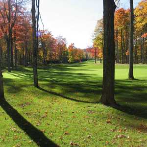 The Ferns Golf Resort: #12
