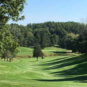 Pine Valley GC: #10