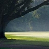 A view from Copperdale Golf Club