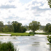 View from Rebel Creek GC's 11th hole