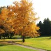 A fall view from Victoria Park East Golf Club