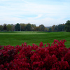 View from Twenty Valley Golf and Country Club