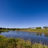 View from Rockway Vineyards Golf Course