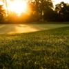 A sunny view of the 15th green at Craigowan Golf Club.