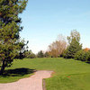Twisted Pine at Madawaska: View from #1