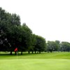 A view of a green at Annandale Golf and Country Club (Peterssteelhorse)