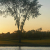 Sunrise at Cardinal Lakes Golf Club