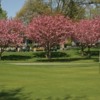 A view of hole #9 with the cherry trees in blossom in background at Cherry Hill Club