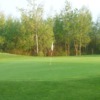 View of a green at Lynbrook Family Golf Centre