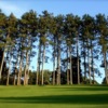 A sunny view from Pine Valley Golf Club