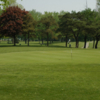 A view of a green at Ridgetown Golf and Country Club