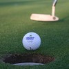 Westminster Trails GC