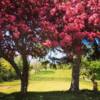 A sunny day view from Bridgewater Country Club