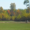 A fall day view from Spruce Creek Golf Course.