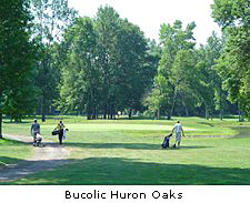 Bucolic Huron Oaks